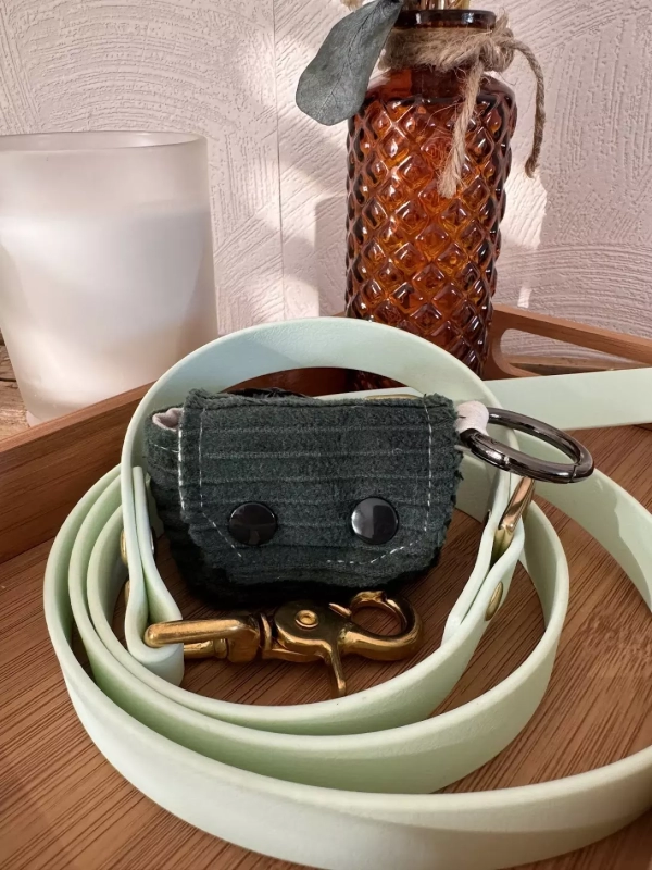 distributeur de sac avec une laisse de laiss'do it