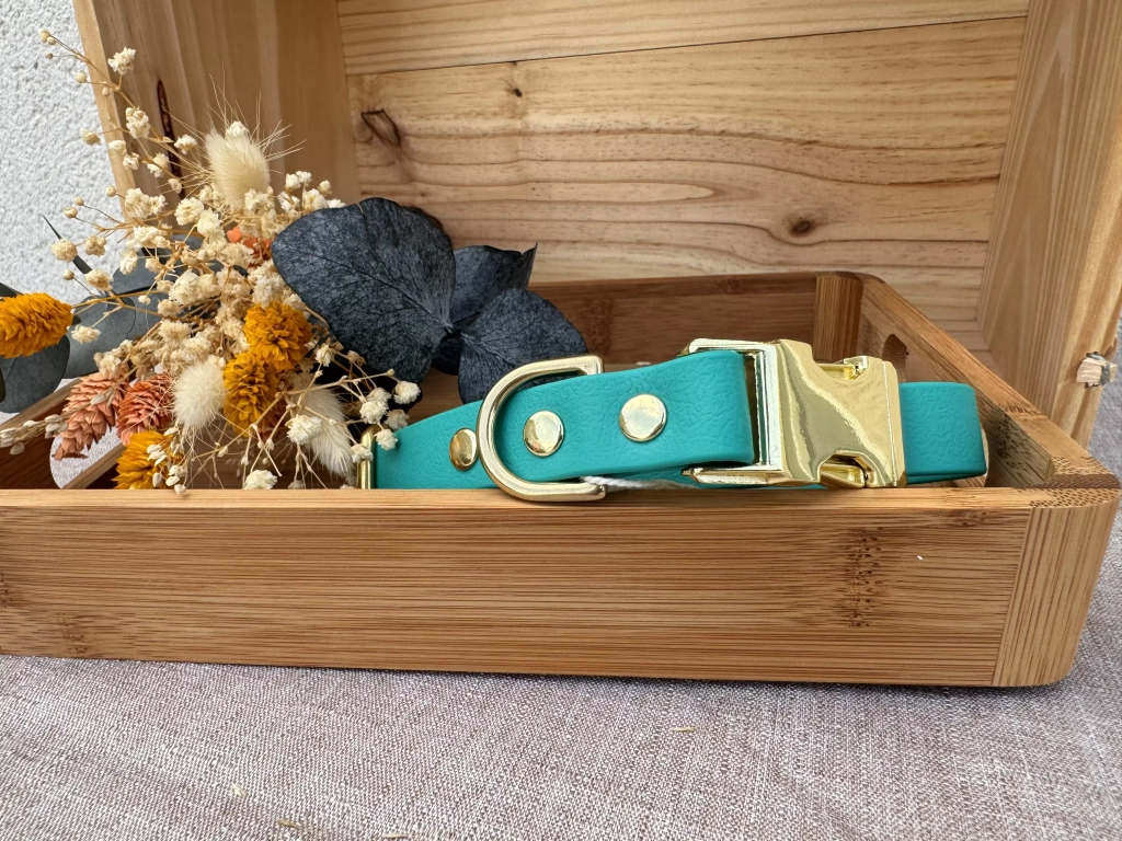 le collier biothane Laiss'do it chien taille S turquoise