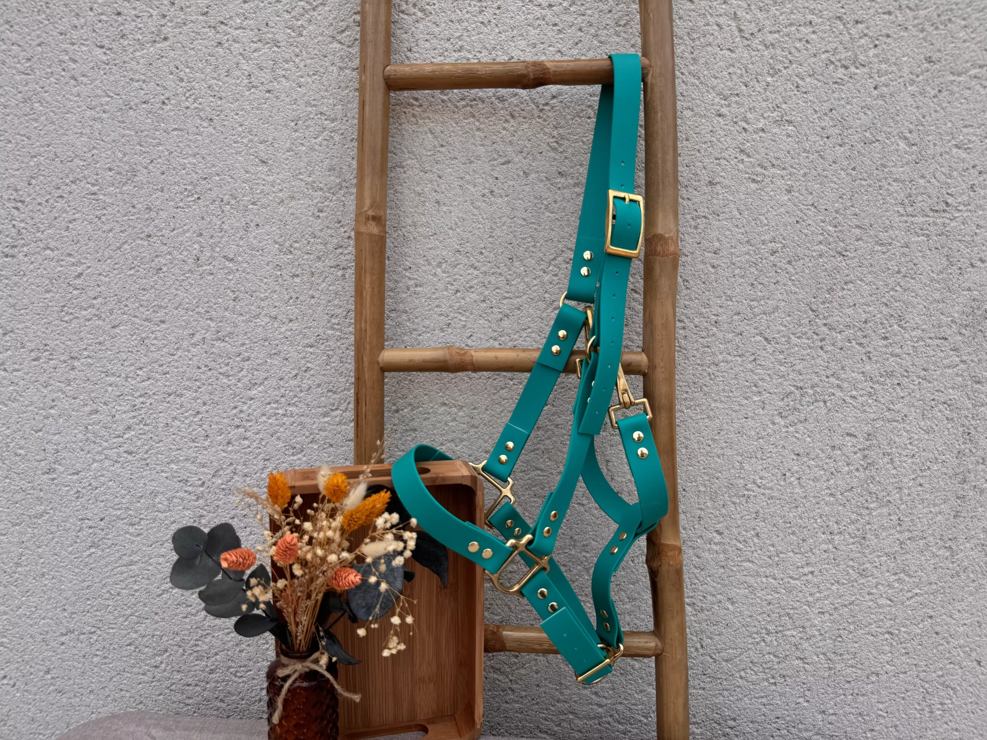Licol cheval biothane Laiss'do it Turquoise