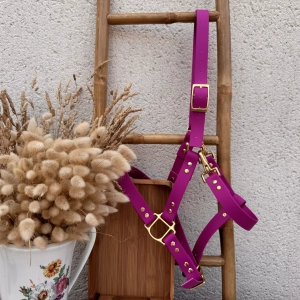 Licol COB biothane Laiss'do it fuschia
