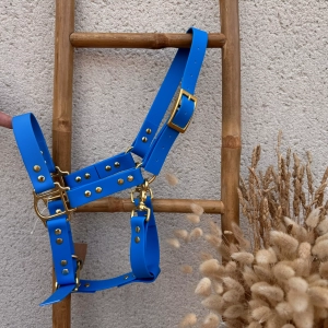 Licol poney biothane Laiss'do it bleu
