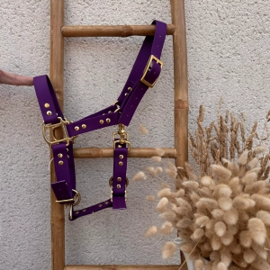 Licol poulain et mini shetland biothane Laiss'do it violet