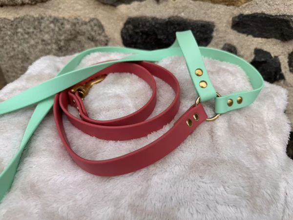 Laisse bandoulière simple vert caribbean et corail