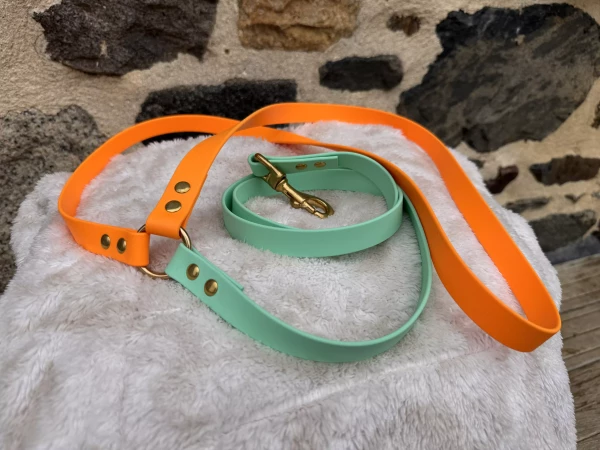 Laisse bandoulière simple vert caribbean et pêche