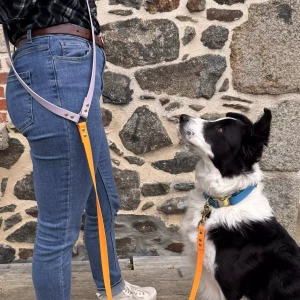 Sino avec la laisse bandouliere simple