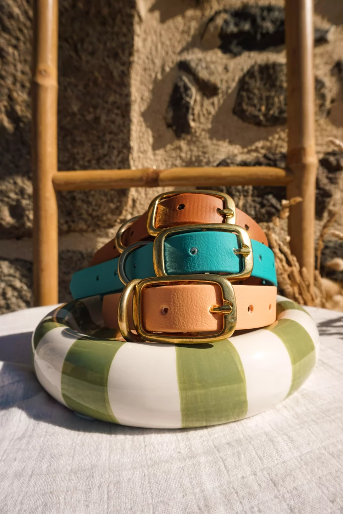 collier chien biothane Laiss'do it