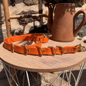 sangle de toilettage table - arriere