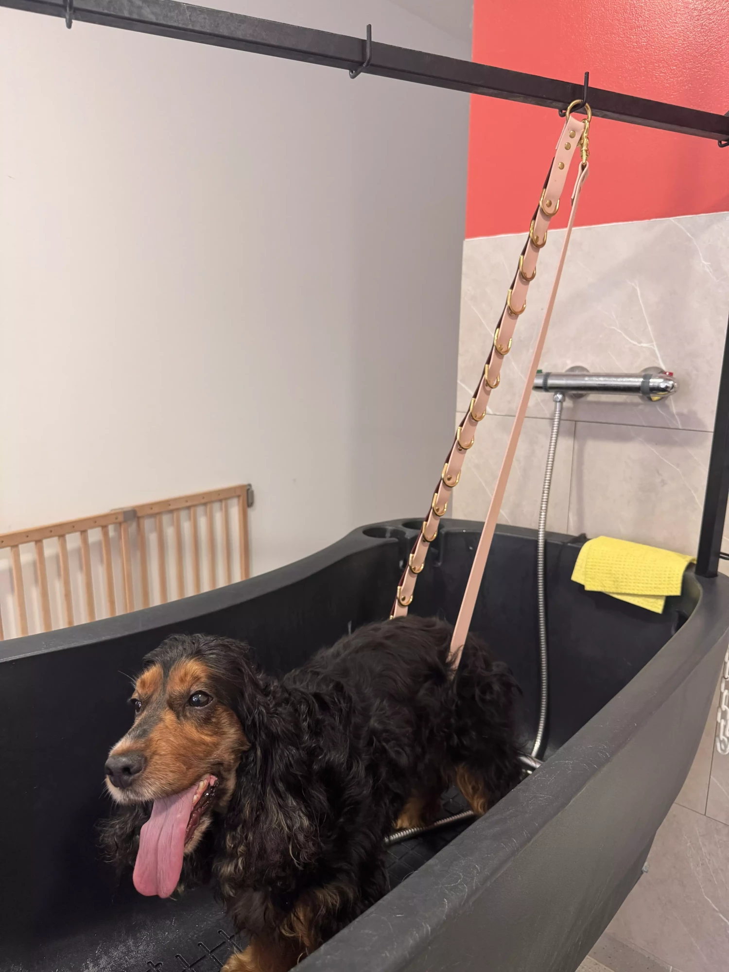 sangle pour le bain avec chien