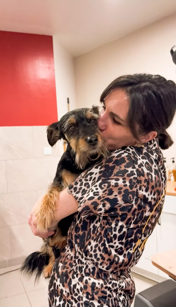 au salon avec un chien